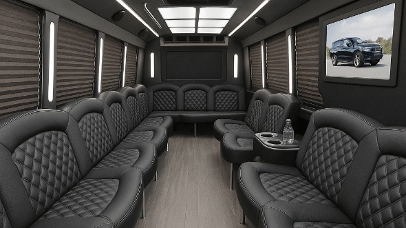 plano 20 passenger party bus